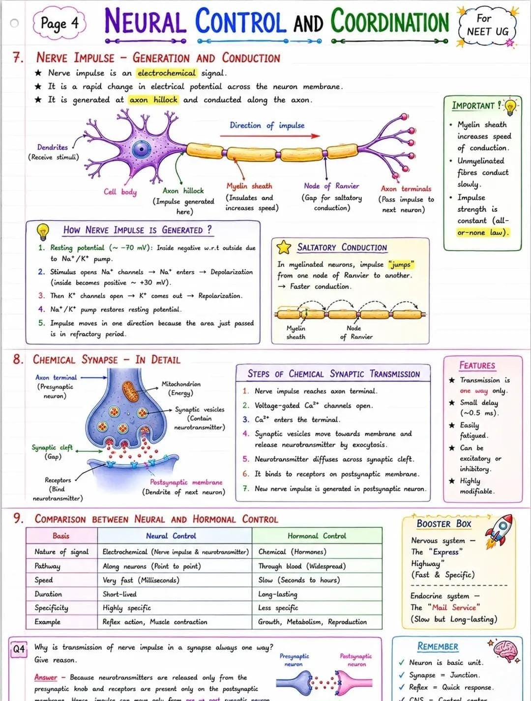 Nerve Impulse — Generation & Conduction